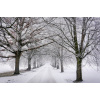 winter_billede